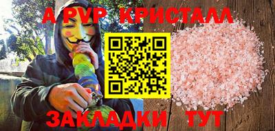 не бодяженный Кингисепп